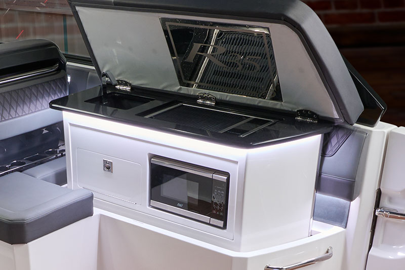 Galley, Cockpit (Sink/Microwave/Grill)